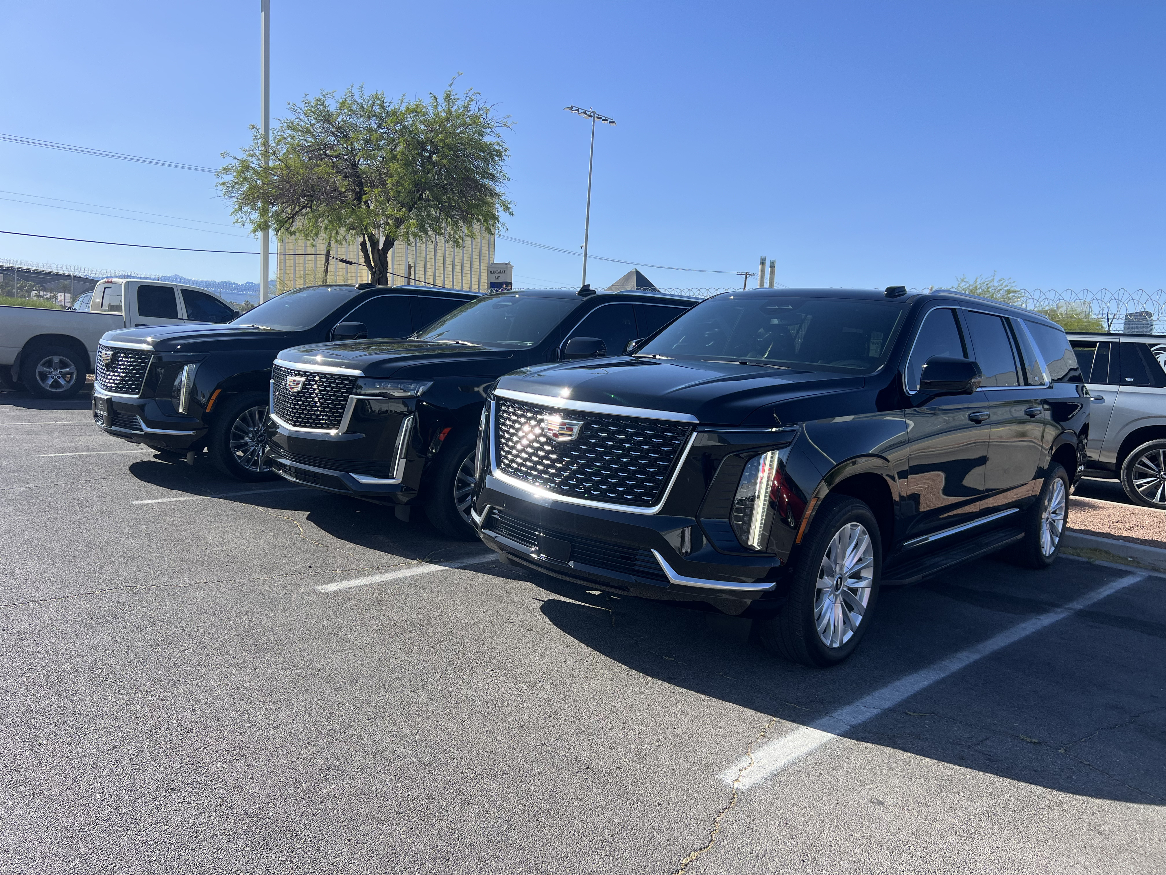 View of Three Escalades